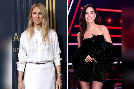 Diese bekannten Künstler waren schon beim ESC