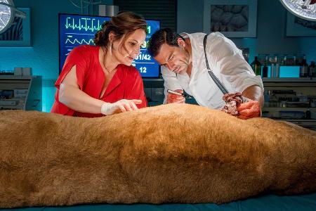 TV-Tipps am Dienstag TV-Tipps am Dienstag