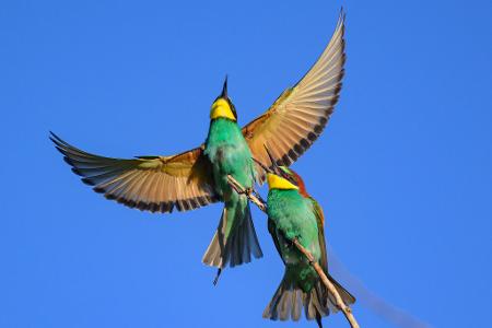Die Bilder des Tages