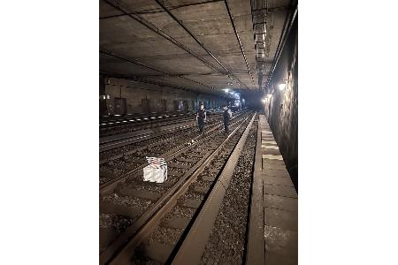 Bundespolizisten versuchen Enten im S-Bahntunnel in den bereitgestellten Käfig zu treiben.
Foto-Quelle: Bundespolizeiinspektion Hamburg Bundespolizisten versuchen Enten im S-Bahntunnel in den bereitgestellten Käfig zu treiben.
Foto-Quelle: Bundespolizeiinspektion Hamburg