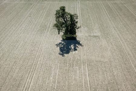 Die Bilder des Tages
