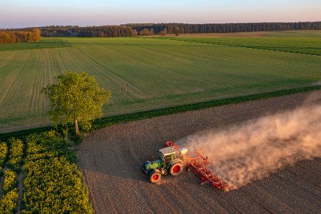 So macht man den Garten fit gegen Trockenheit