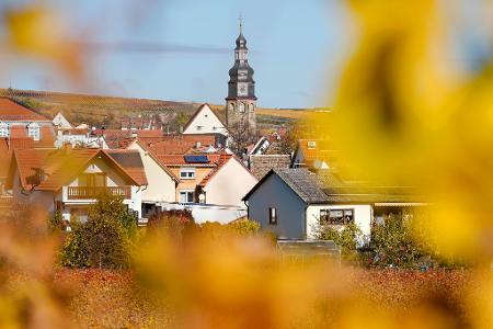 Der kleine Winzerort Kallstadt an der Weinstraße ist der Heimatort von Trumps Vorfahren. (Archivbild) Der kleine Winzerort Kallstadt an der Weinstraße ist der Heimatort von Trumps Vorfahren. (Archivbild)