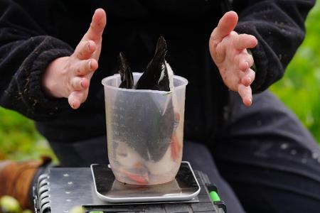 Die Bilder des Tages