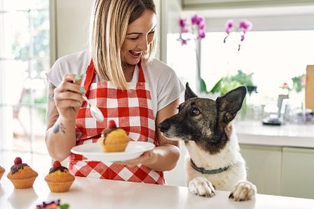 Vorsicht! Diese Lebensmittel sind giftig für Ihren Hund