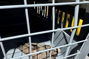 Tierrettung in luftiger Höhe