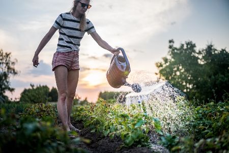 So macht man den Garten fit gegen Trockenheit