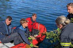 Feuerwehr rettet jungen Rehbock aus dem Kanal