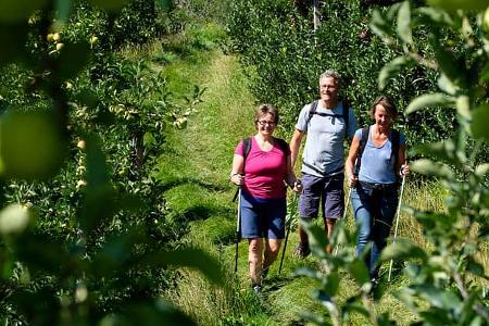 Wandern in den Apfelplantagen