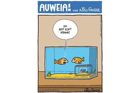 Alltäglicher Humor und Vögel