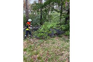 Flächenbrand in Volkensen