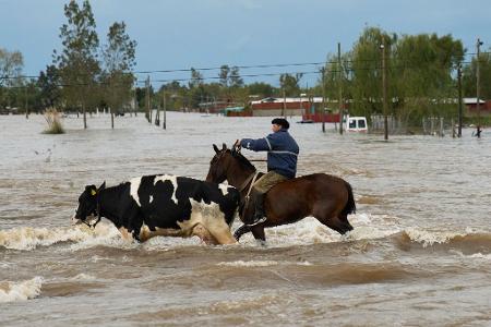 Die Provinz Buenos Aires ist eine bedeutende landwirtschaftliche Region. 