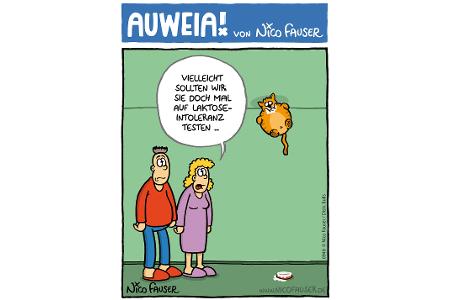 Alltäglicher Humor und Vögel