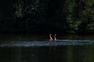 6 typische Gefahren beim Baden - und wie man sich schützt