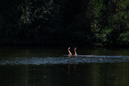 6 typische Gefahren beim Baden - und wie man sich schützt