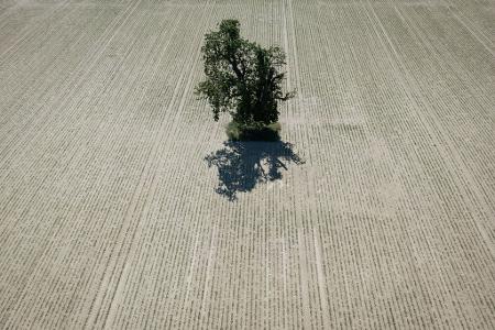 Weite Teile Europas leiden seit Jahren unter zunehmender Wasserknappheit. (Archivbild) Weite Teile Europas leiden seit Jahren unter zunehmender Wasserknappheit. (Archivbild)