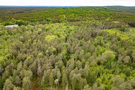 Tod einer 21-Jährigen im Wald - Ermittlungen gegen Jugendlichen wegen Totschlags Tod einer 21-Jährigen im Wald - Ermittlungen gegen Jugendlichen wegen Totschlags