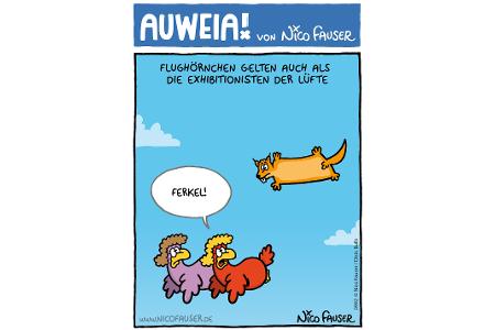 Alltäglicher Humor und Vögel