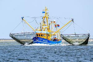 EU-Gericht nickt Fangverbote in der Nordsee ab