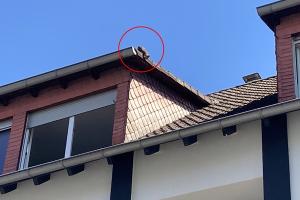 Viernheim: Hitziges Dilemma auf dem Vordach / Einsatzkräfte retten Katze aus luftiger Lage