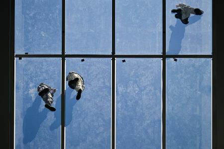 Die Bilder des Tages