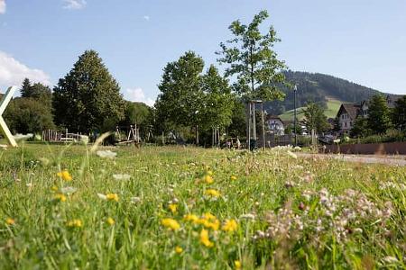 Landesgartenschau Baden-Württemberg