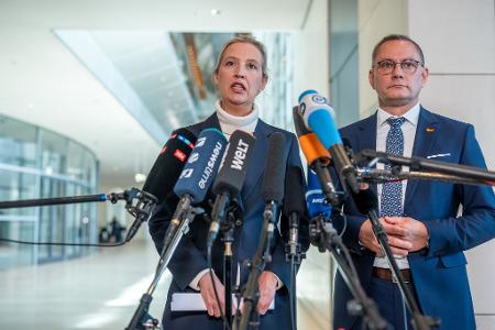 Die AfD-Chefs Alice Weidel und Tino Chrupalla kritisieren Die AfD-Chefs Alice Weidel und Tino Chrupalla kritisieren
