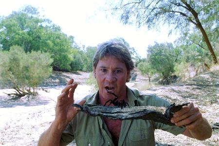 Steve Irwin