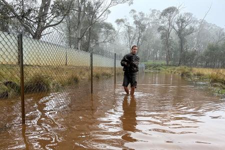 Aussie-Ark-Direktor Tim Faulkner brachte viele Tiere in Sicherheit - wie diesen Tasmanischen Teufel. 