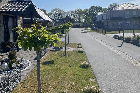 Beschädigte Bäume Beverstedt Beschädigte Bäume Beverstedt