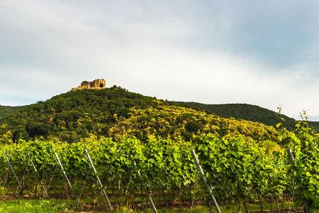 Pfalz