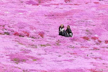 Die Bilder des Tages
