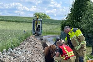 Verkehrsunfall & Tierrettung
