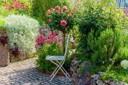 Cottage Garden 