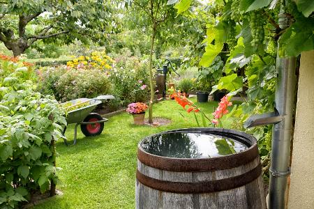 Kompaktes Gartendesign