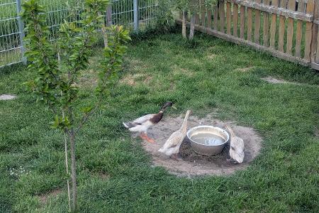 Quelle: privat