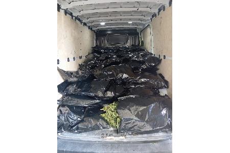 Foto: Polizei (das Foto die Ladefläche des kontrollierten Transporters: Über 300 kg Cannabispflanzen in Plastiksäcken); Veröffentlichung mit der Pressemitteilung honorarfrei Foto: Polizei (das Foto die Ladefläche des kontrollierten Transporters: Über 300 kg Cannabispflanzen in Plastiksäcken); Veröffentlichung mit der Pressemitteilung honorarfrei