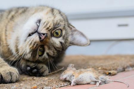 Die Bilder des Tages
