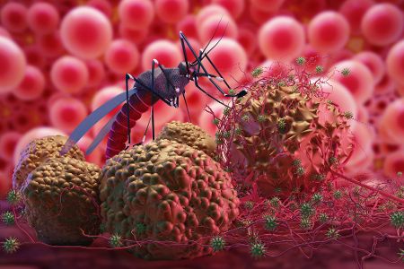 Mücke sitzt auf symbolisch auf dem Malariavirus