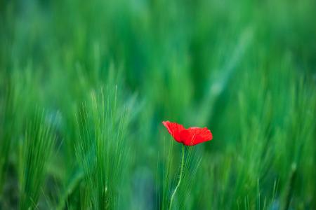 Die Bilder des Tages