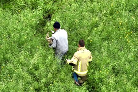 Suche nach geschwächtem Hund. Foto: Feuerwehr Kleve Suche nach geschwächtem Hund. Foto: Feuerwehr Kleve