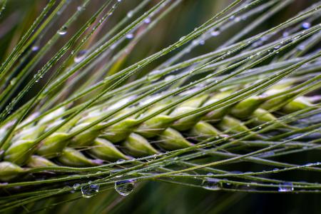 Die Bilder des Tages