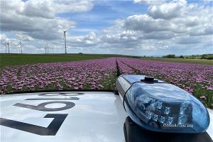 Autofahrer unter Drogeneinfluss