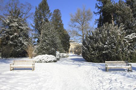 Schneebedeckte Parklandschaft in den Hohenheimer Gärten in Stuttgart
