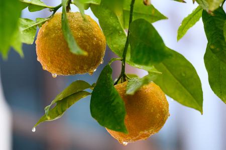 Die Bilder des Tages