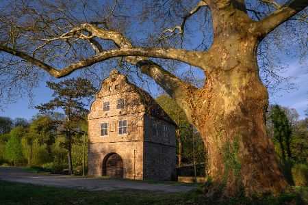 Torhaus im Rombergpark in Dortmund