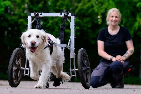 Die Bilder des Tages