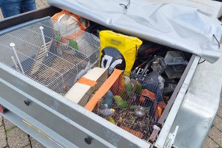 Bundespolizei stoppt illegalen Tiertransport Bundespolizei stoppt illegalen Tiertransport