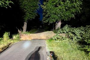 Baum blockierte Fahrbahn