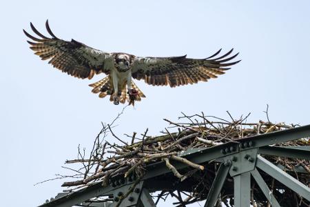 Die Bilder des Tages